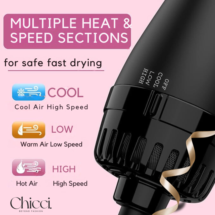 Chicci ™ Hair Dryer Brush