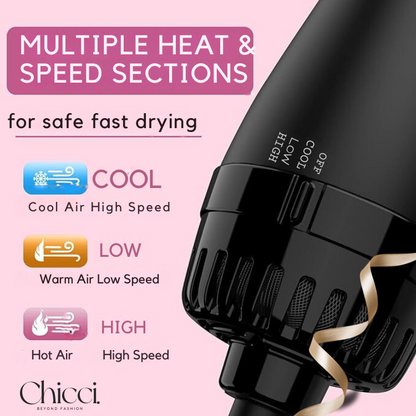 Chicci ™ Hair Dryer Brush
